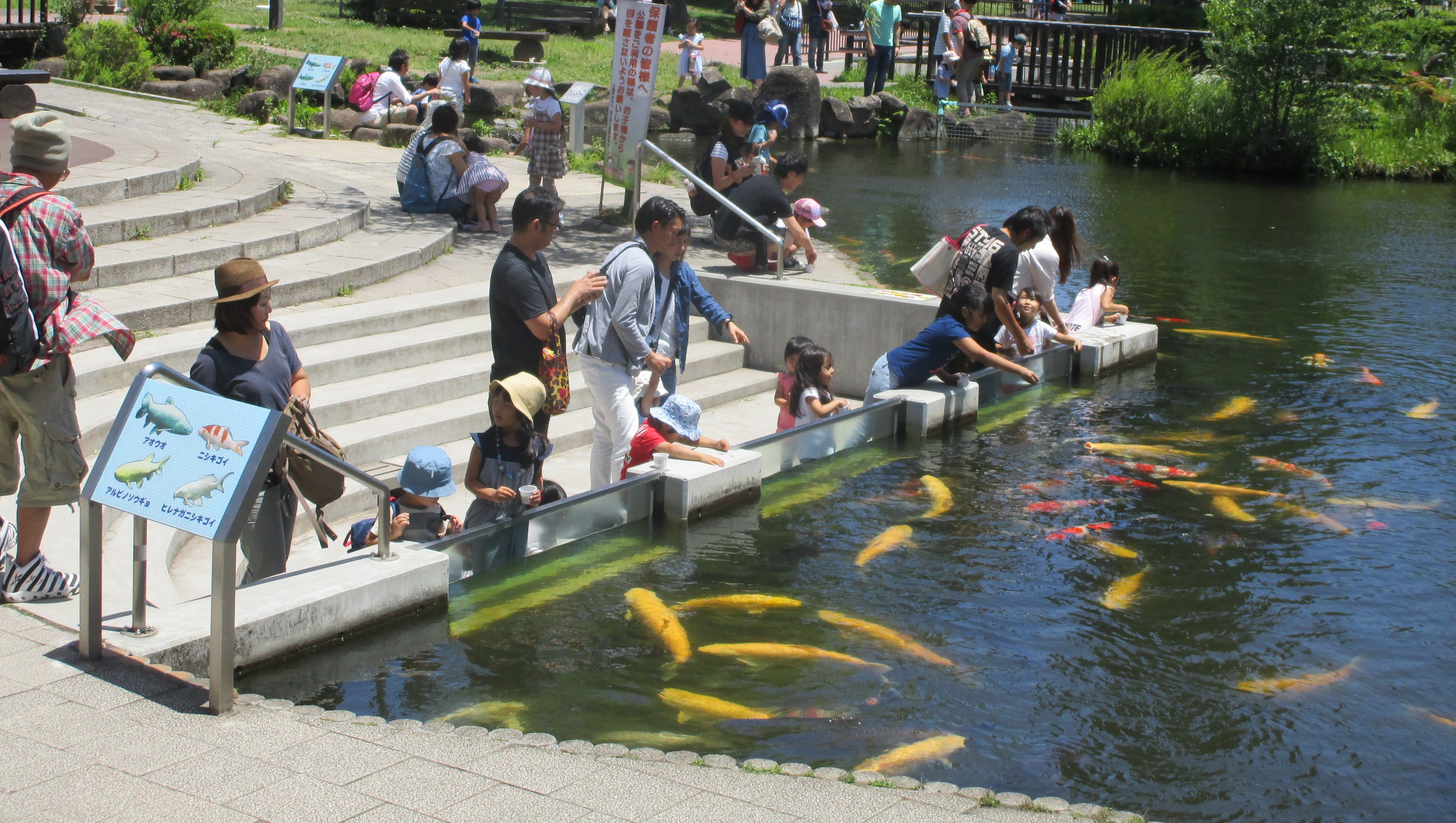 アンティーク インド像乗り物(大人も子供も乗れます)